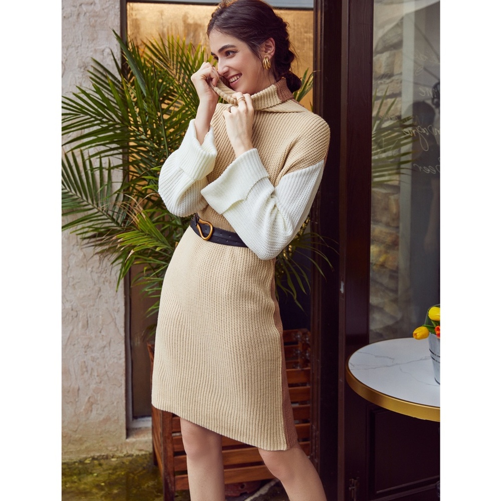 Colorblock Knit Sweater Dress Turtleneck - Picture 14 of 16